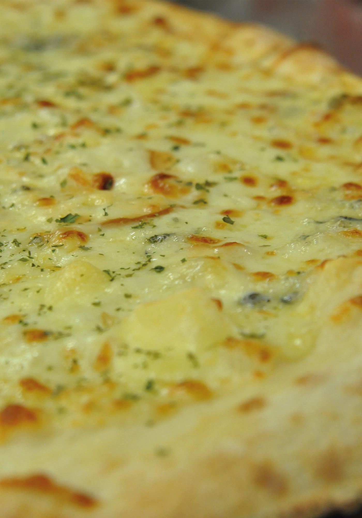 pizza con Mozzarella, edamer, brie, scamorza, gorgonzola